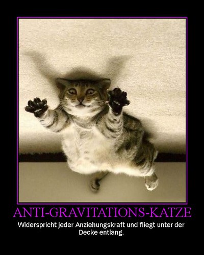 Anti gravitation cat img